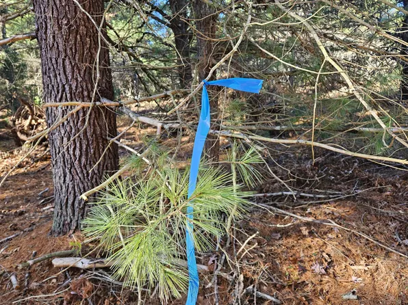 PARCEL Tatanka Trl #O, Baldwin, MI 49304