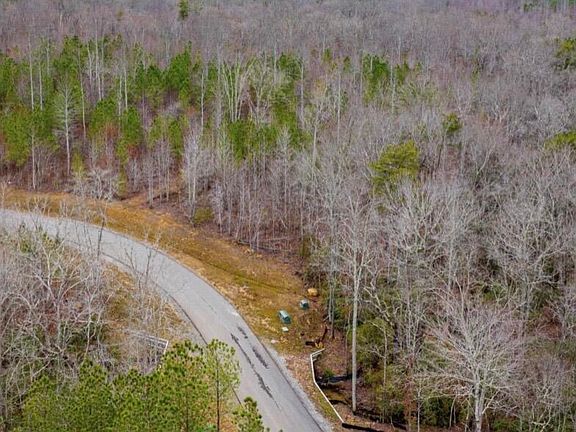 3rd image of 0 Raulston Falls Rd #Jf99