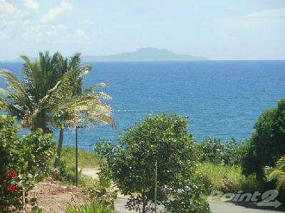 Views of the Ocean