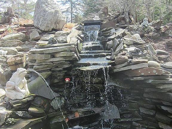 Koi Pond