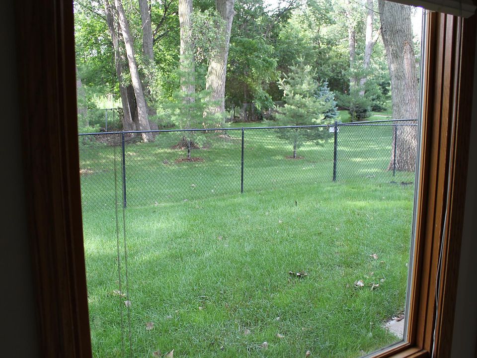 View out the kitchen picture window