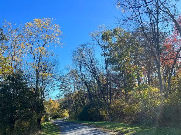 169 Quail Rd, Basye, VA 22810