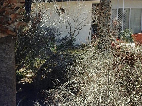 3rd image of 1659 W Barbara Worth Dr