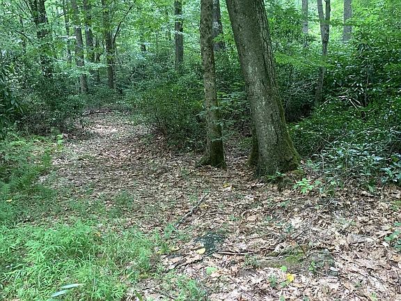 3rd image of 3311 Hanging Run Rd