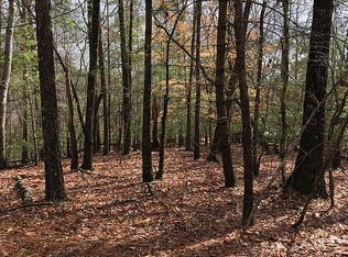 0 Newport Dr LOT 3545, Ellijay, GA 30540