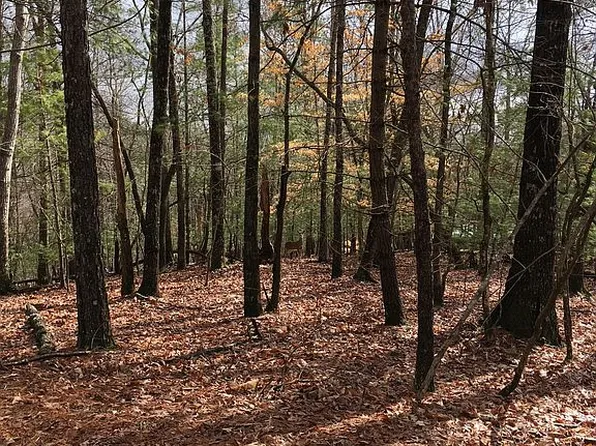 0 Newport Dr Lot 3545, Ellijay, GA 30540