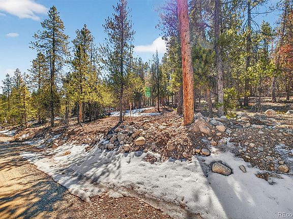 4th image of 312 Mt Massive Road