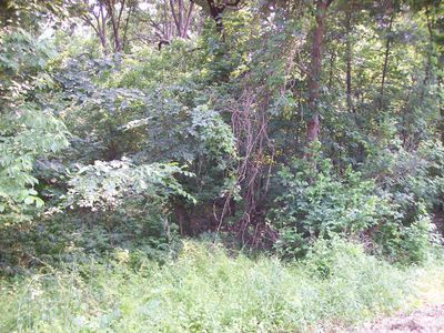 W5997 Freedom Road Lot 22, Packwaukee, WI, 53953
