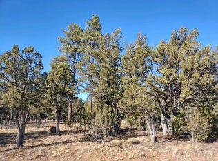 4612 Durango Dr, Happy Jack, AZ 86024