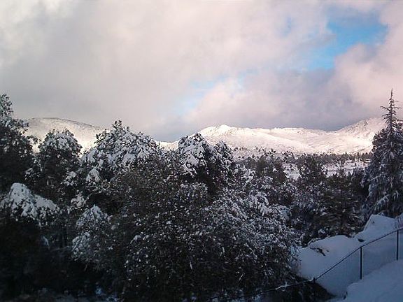 same day balcony view