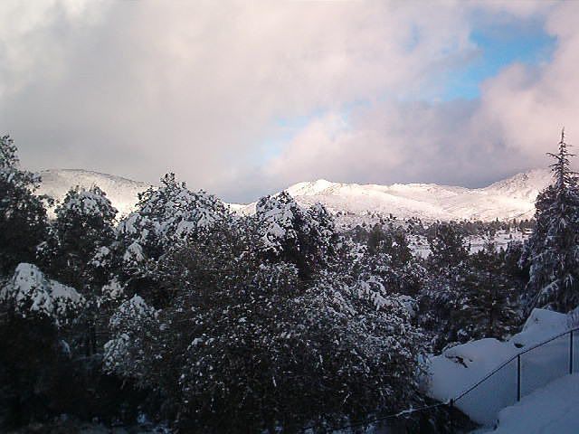 same day balcony view