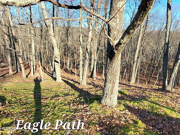 3rd image of LOT 193 Eagle Ln