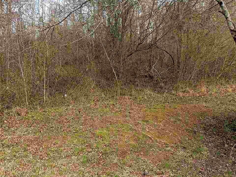 2nd image of 0 Reedy Fork Rd