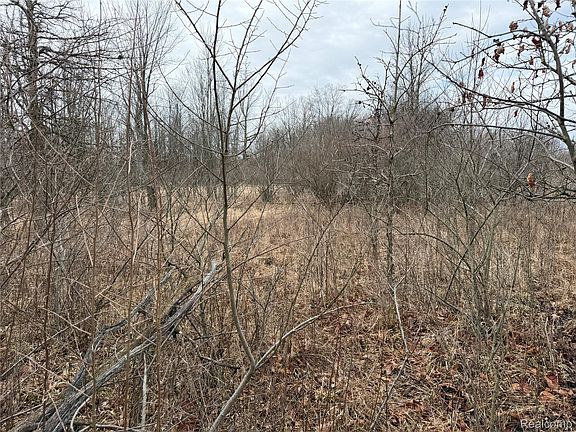 4th image of 15193 Jeddo Rd