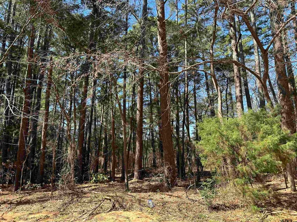 1473 Red Bud Cir, Bullard, TX 75757