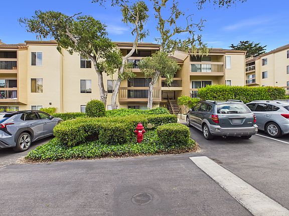 2nd image of 2208 Golden Oaks Ln