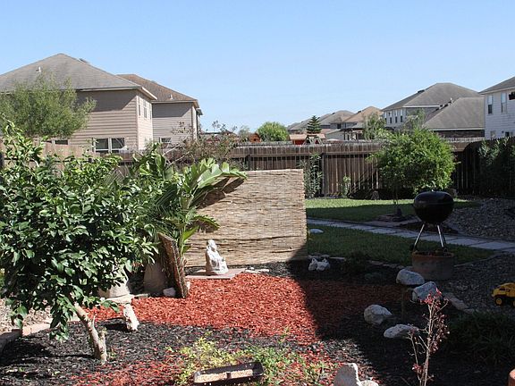  Landscaping with mango and valley lemon trees 