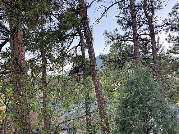 The view from the deck