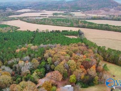 /county Rd #91, Gaylesville, AL, 35973