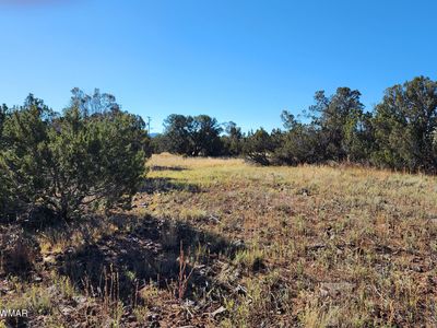 8547 Big Bear Dr, Show Low, AZ, 85901