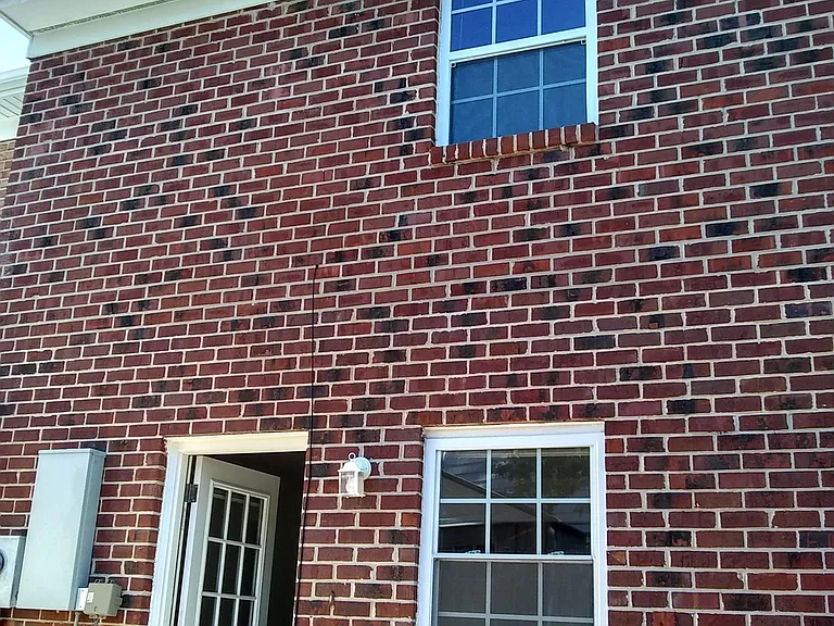 930 Maryland Ave — Photo 16