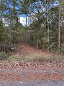 4807 Cathey Ln, Navasota, TX, 77868