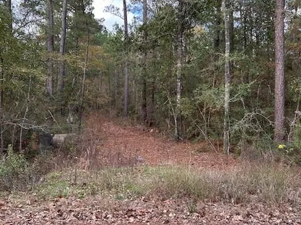 4807 Cathey Ln, Navasota, TX 77868