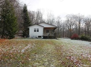 785 Dahlia Rd, Livingston Manor, NY 12758