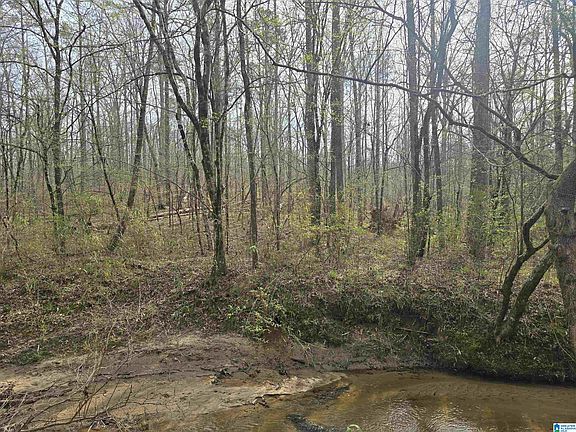 5th image of 354 Springwell Rd