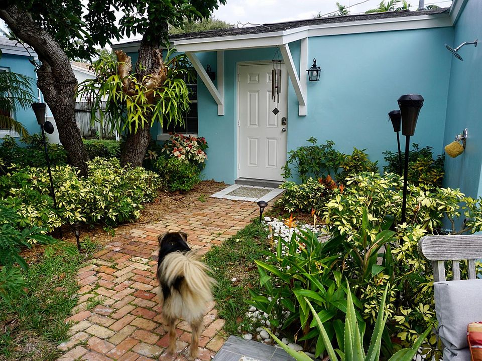 Front door to the cottage with an outdoor shower to the right. This is our dog Bodhi modeling the cottage. No he does not come with the lease but he will be outside welcome and you every so often.