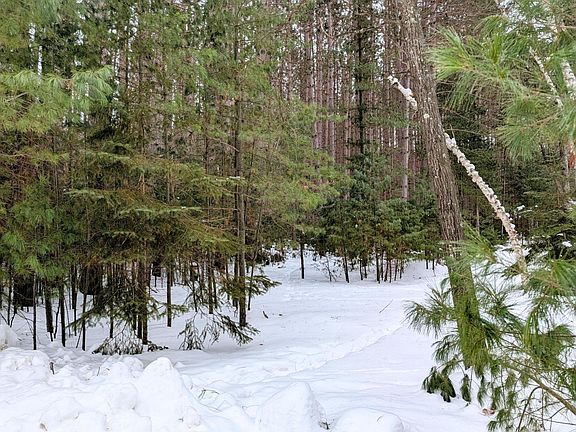 2nd image of LOT 157 Trailwood Dr
