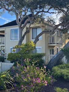 585 Laine St APT 14, Monterey, CA, 93940