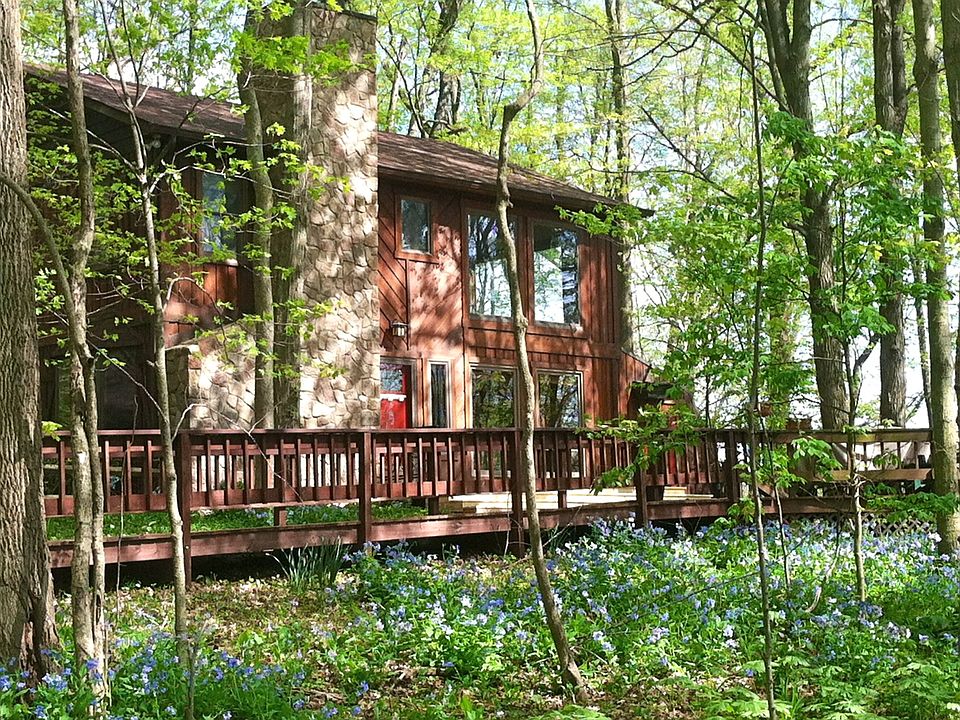 Springtime in the woods