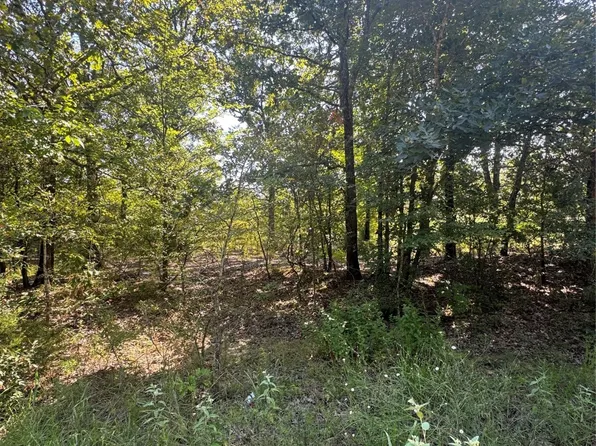 1682 Christine St, Blossom, TX 75416