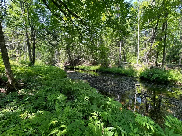 Lot 6B Estabrook Road, Amity, ME 04471