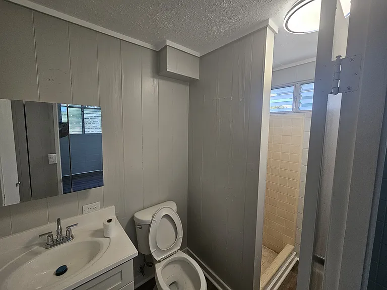 635A Analu St #1 — Photo 9