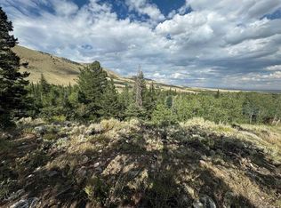 10 Lookout Rd, Centennial, WY 82055