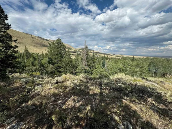 10 Lookout Rd, Centennial, WY 82055