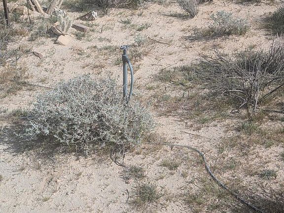 4th image of 0 Ripon Ave