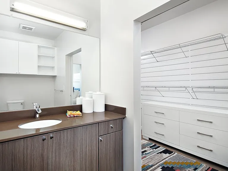 Bathroom and walk-in customizable closet