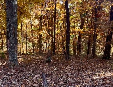LOT 70 Newbury Ln, Bella Vista, AR, 72714