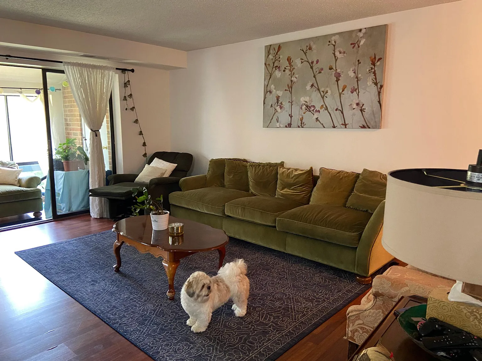 3 bed, 1340 sqft, $3,000 — Photo 3