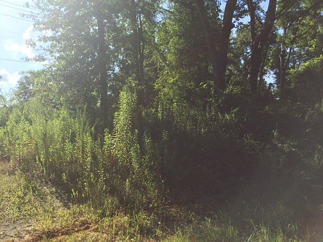 2nd image of Rayburn Dr