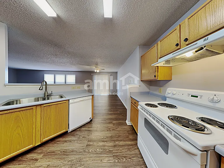 1315 King Maple Dr — Photo 3