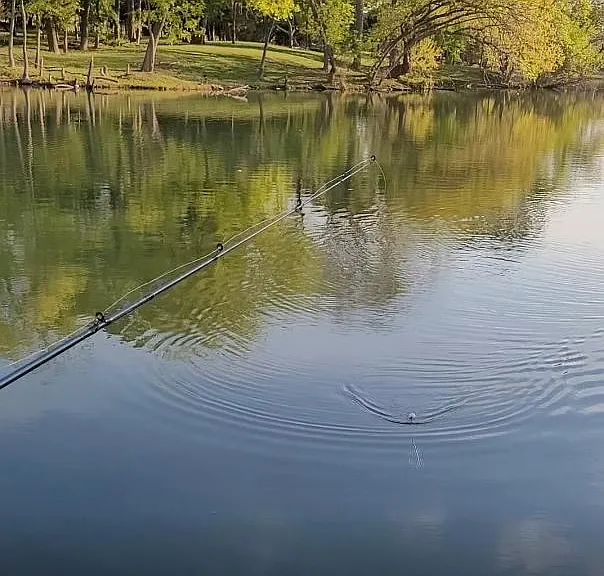 Fishing Ponds