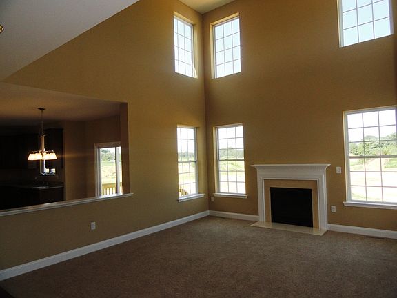 GAS FIREPLACE