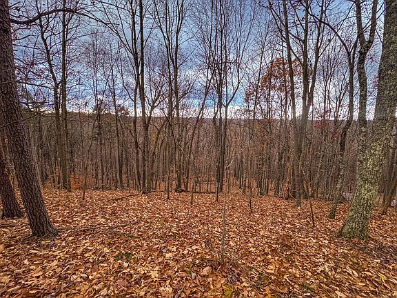 39th image of this home