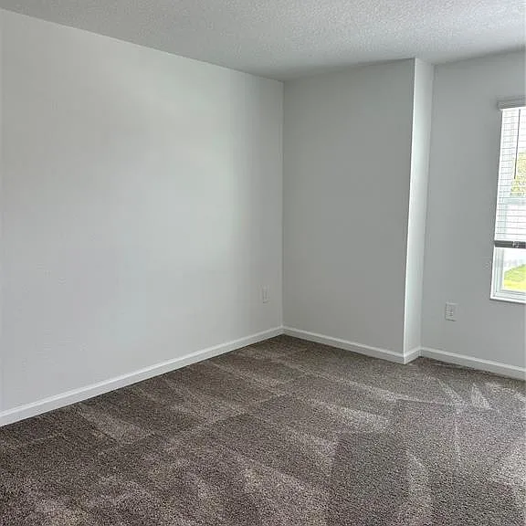 26277 Feathergrass Cir — Photo 24