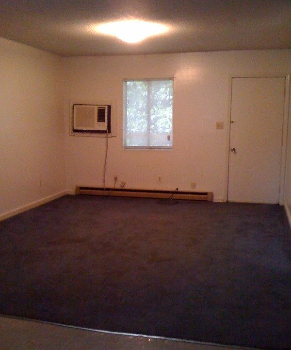 2nd image of 217 Wynne Rd