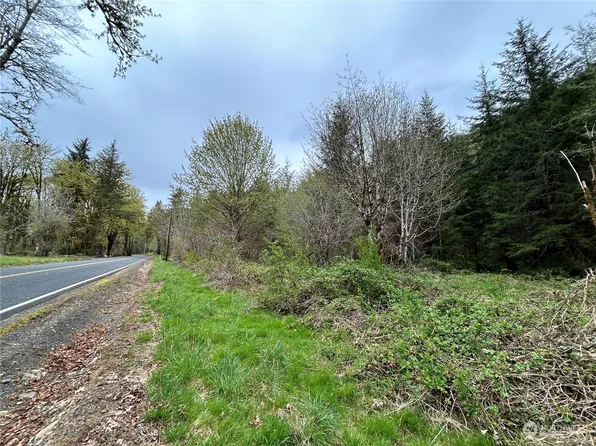 0 Lot 4 Abernathy Creek Road, Longview, WA 98632